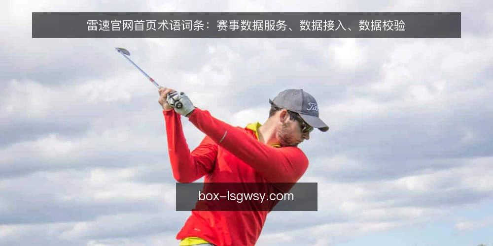 雷速官网首页术语词条：赛事数据服务、数据接入、数据校验 — 为何现在审计术语 配图